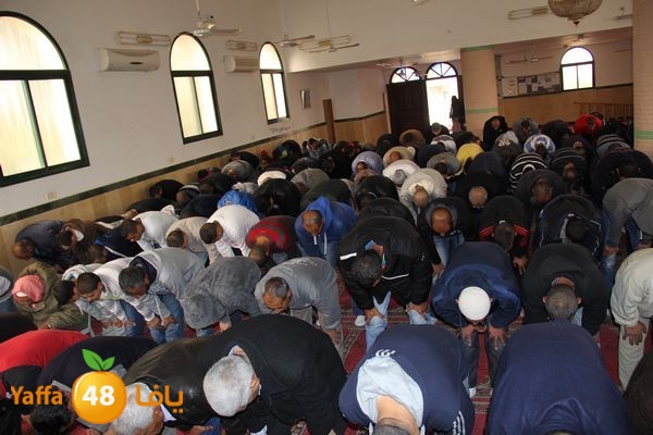 jarhoshuy msajed 0110 (10).JPG